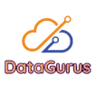 DataGurus LLC. logo