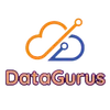 DataGurus LLC. logo